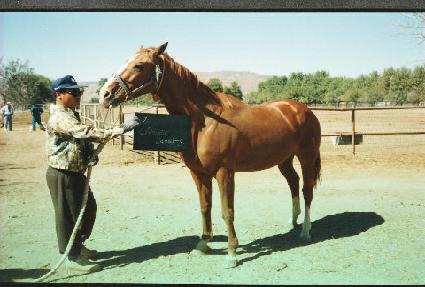 Ŭ����Ŀ���� ����