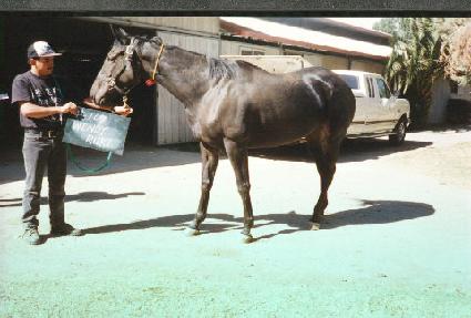 �����Ű ����