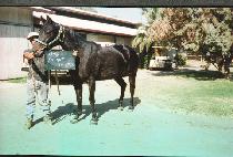 �������̽� (TO HOT TO MISS) ����