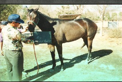 ��ī������ ����