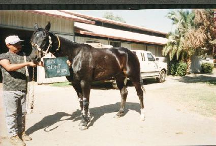 ����Ʈ���罺 ����