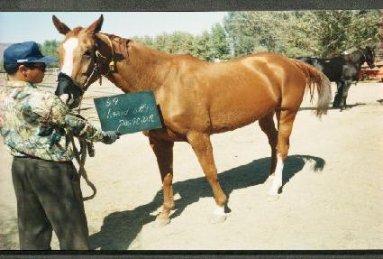 ������������ ����