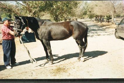 ��������򷲷� ����