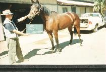 ����ƽ�߷�Ÿ�� (EXOTIC VALENTINE) ����