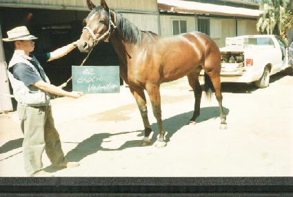 ����ƽ�߷�Ÿ�� ����