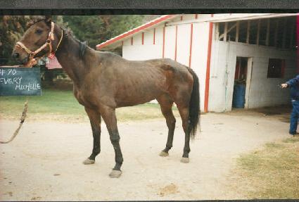 ���긮�̼� ����