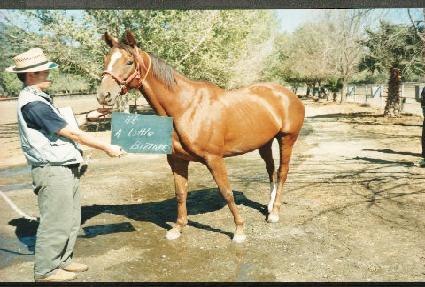 �Ʋ���� ����