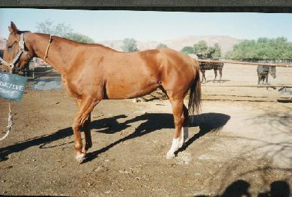 ����Ƽ����ġ ����