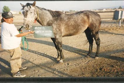 �����������̵� ����