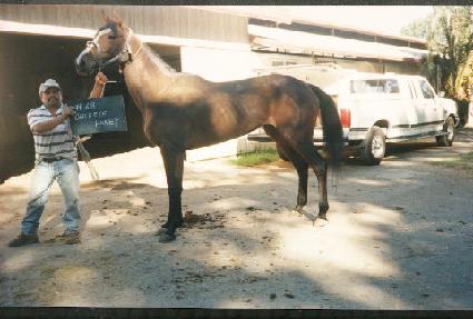 ��������� ����