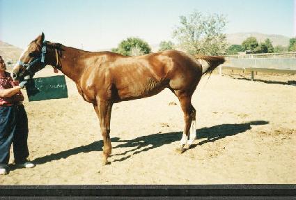 ����Ʈ������ ����