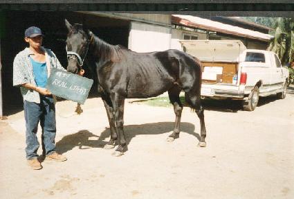 �������Ʈ ����