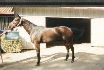 ����ǲ������� (BAREFOOT RUNAWAY) ����