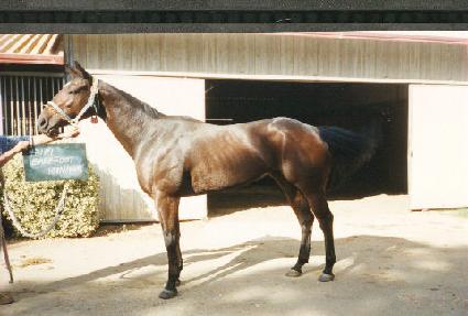 ����ǲ������� ����