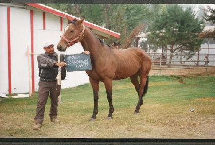 ����ĵ�帲ĵŸ�� ����