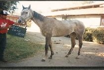 �������ư (SNOOZE BUTTON) ����