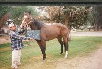 Ÿ�ĸ�Ʋ�ֽ� (TAPA LITTLE ASH) ����