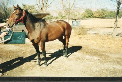 �츮��Ƽ ����