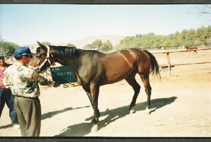 ī������Ű ����