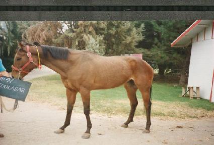 ���� ����