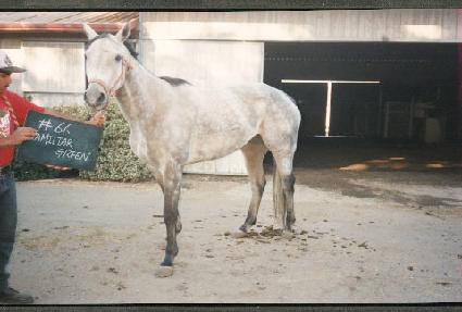 �۹и���׸� ����