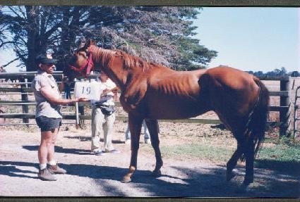 �ܵ����� ����