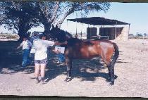 ��� (TAEWON) ����