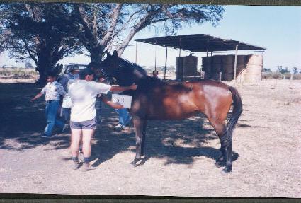 ��� ����