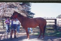 ���Ѱ� (CHANGHAN-GOL) ����