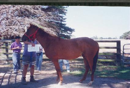 ���Ѱ� ����