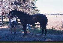 ��Ÿ���� (DELTA FORCE) ����