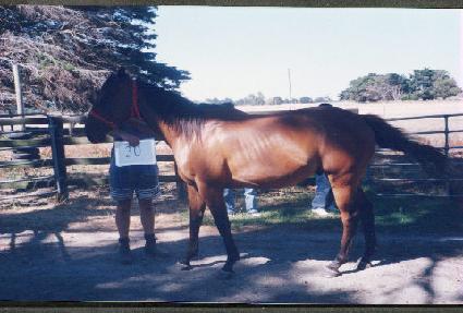 ���� ����