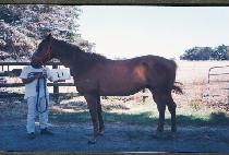 ���� (MOKJEONG) ����