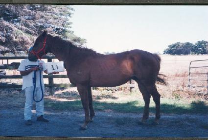 ���� ����