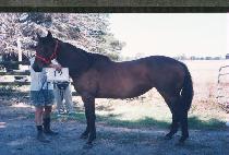 ��������� (MUHANJEONG-USEUNG) ����