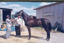 ���屺 (MYEONG CHANGGUN) ����