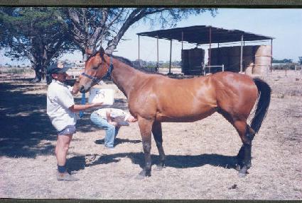 �����ö��� ����