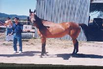 �漺�� (CH��UNGSEONGDAE) ����