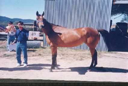 �漺�� ����