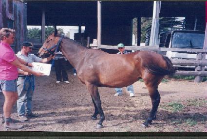 �Ű��� ����