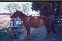 ������ (CHINNAMP��O) ����