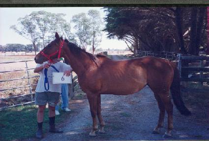 ������ ����