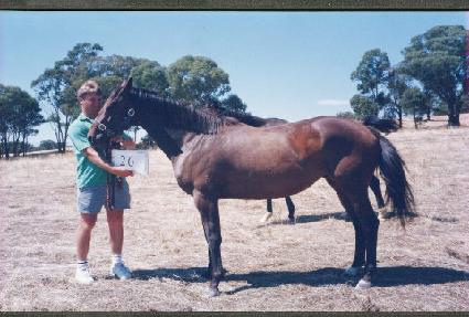 �����ô� ����