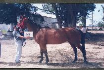 ������ (EUIJAHYEON) ����