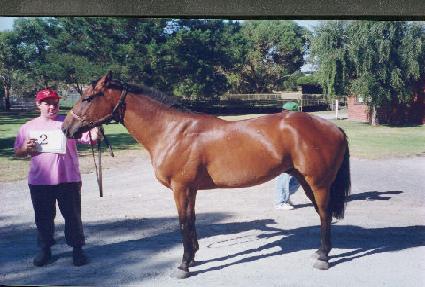 ���� ����