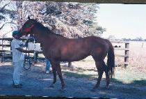 ��ħ���� (ACH��IM MADANG) ����