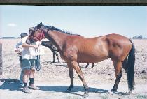 �ۿ� (SONGWOL) ����