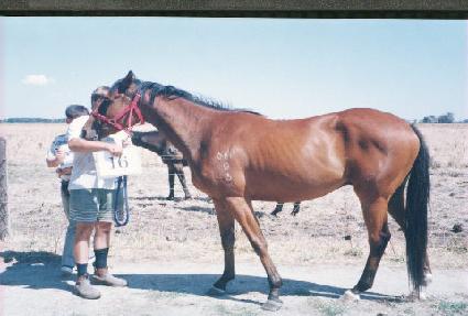 �ۿ� ����