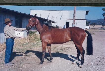 ������ ����