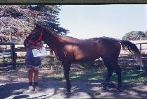 �ſ��� (SHINWANGJO) ����